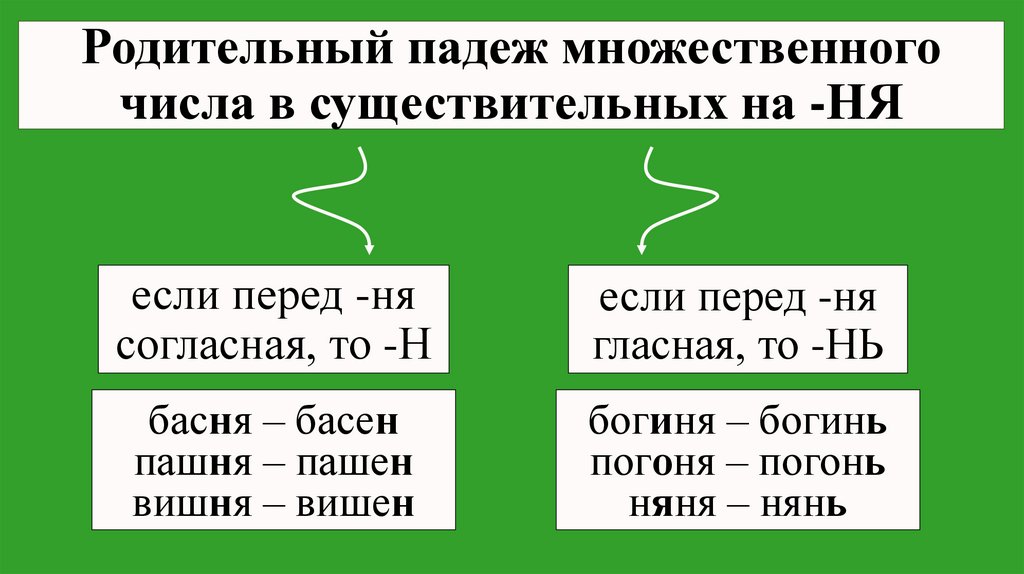 Родительный падеж множественного числа в существительных на -НЯ