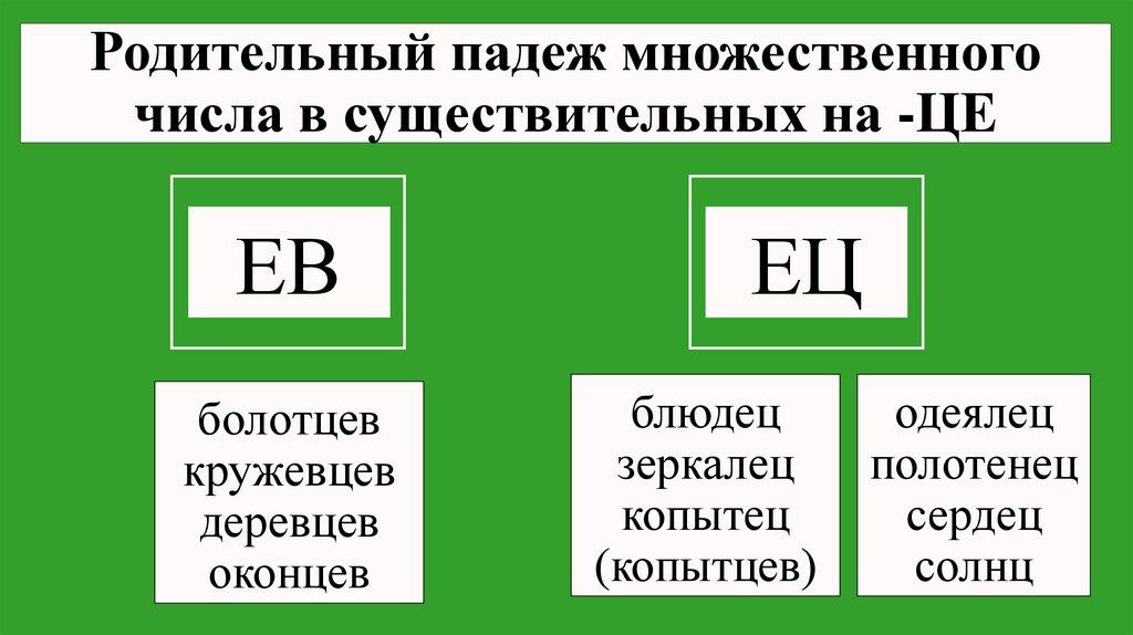 Родительный падеж множественного числа в существительных на -ЦЕ