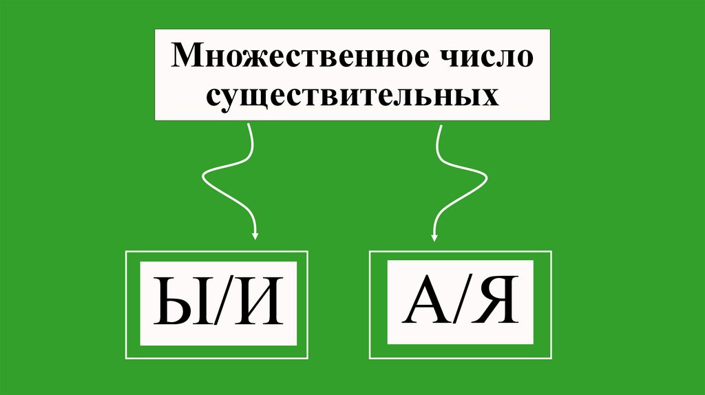 Множественное число существительных
