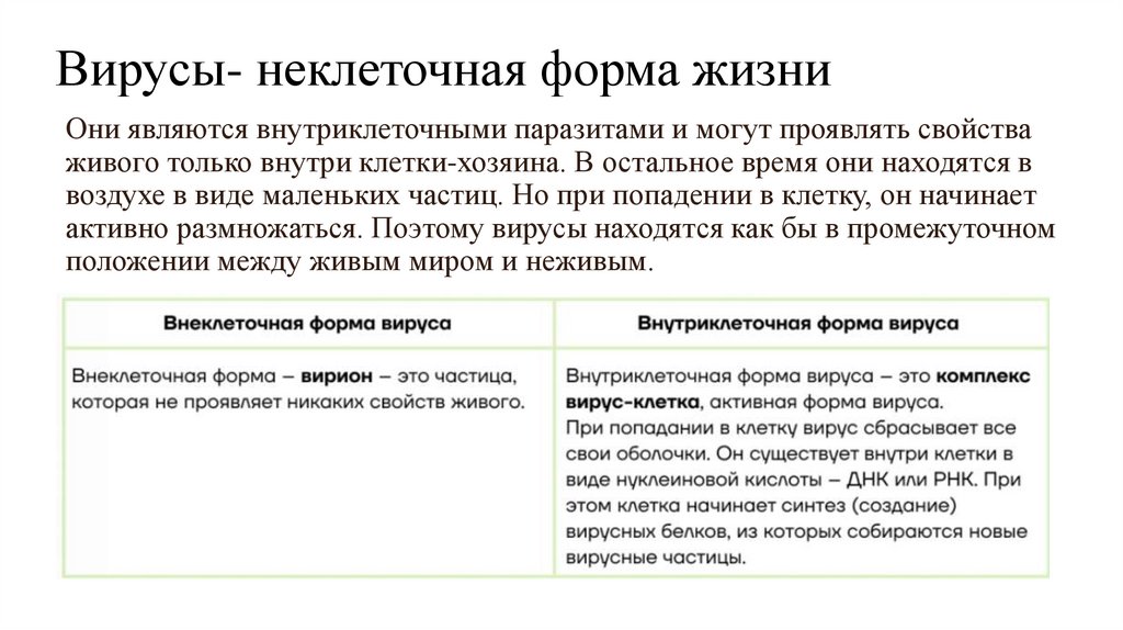 Вирусы- неклеточная форма жизни