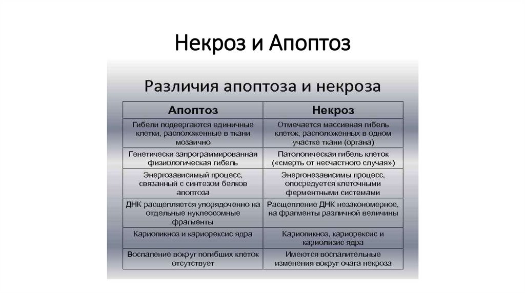 Некроз и Апоптоз