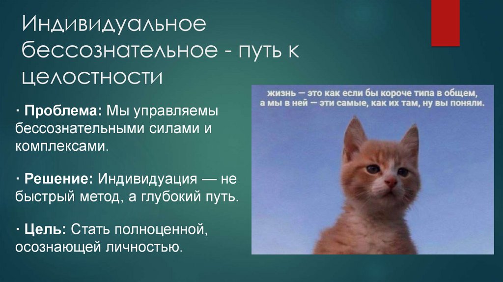 Индивидуальное бессознательное - путь к целостности