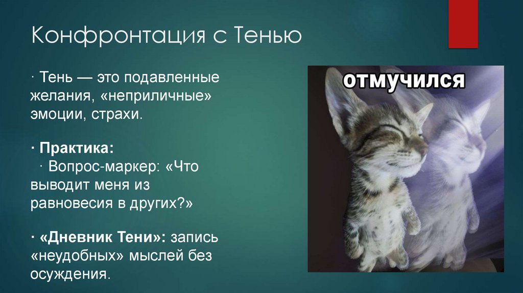 Конфронтация с Тенью