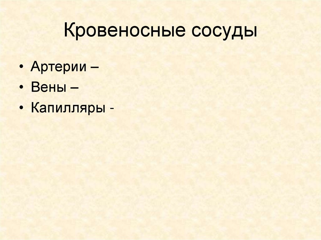 Кровеносные сосуды