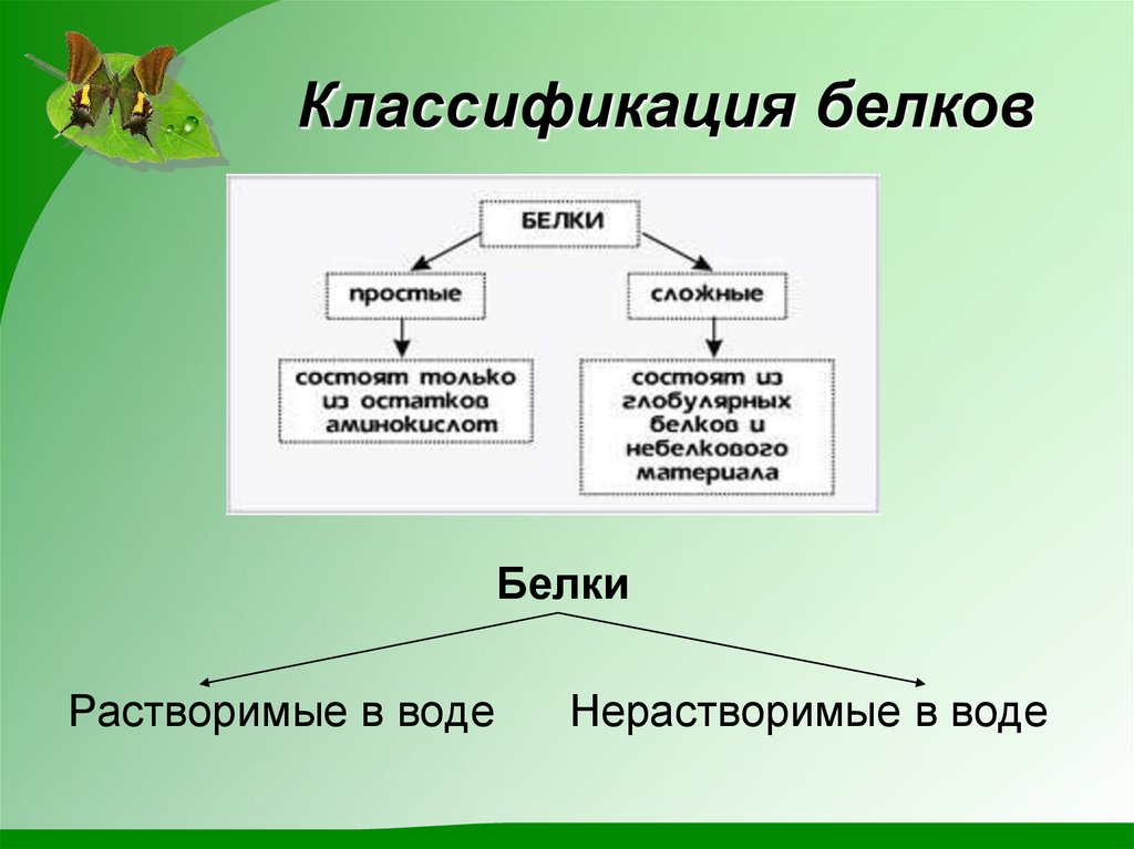 Классификация белков