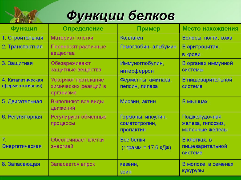 Функции белков