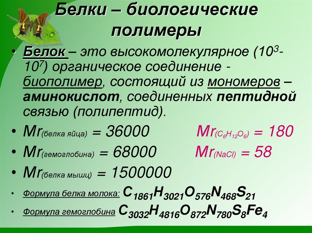 Белки – биологические полимеры