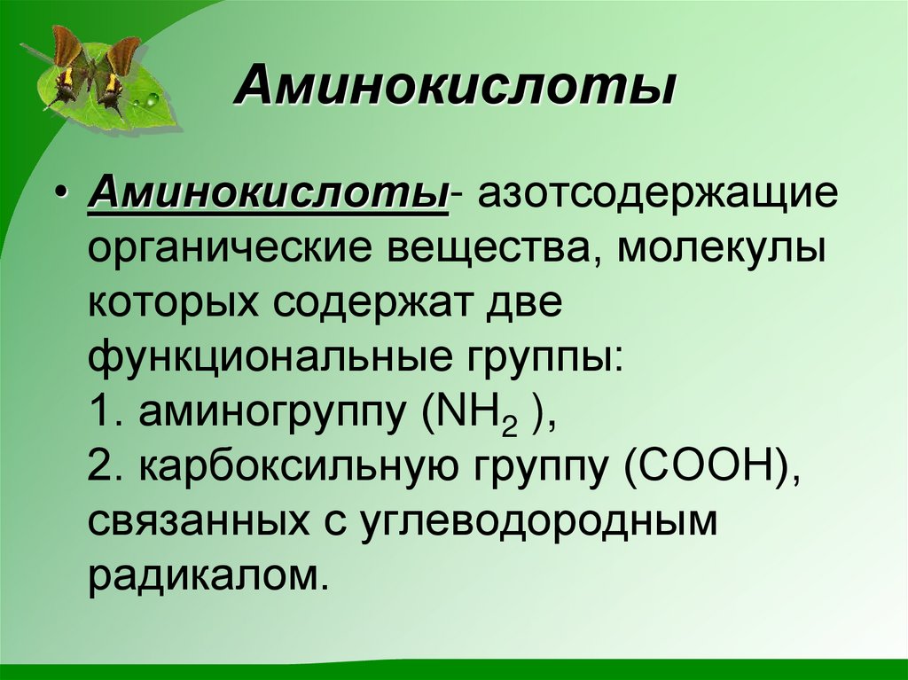 Аминокислоты