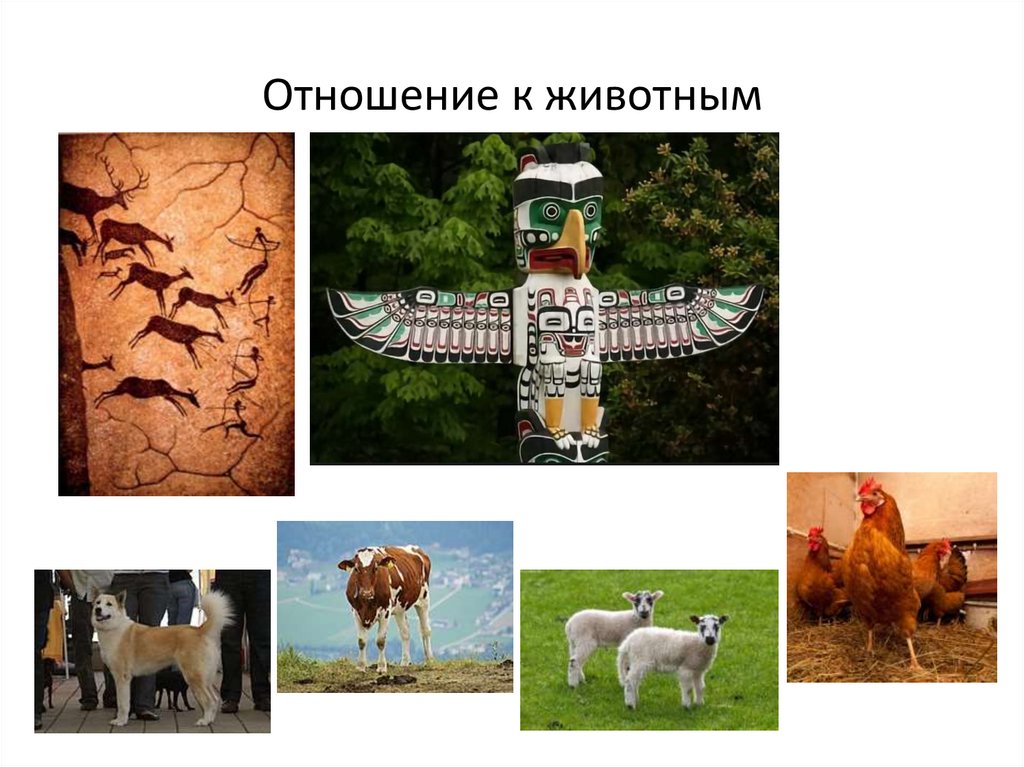 Отношение к животным