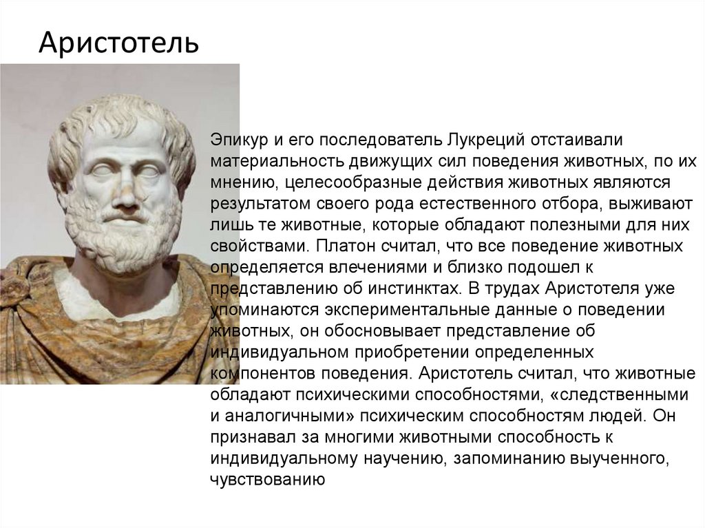 Аристотель