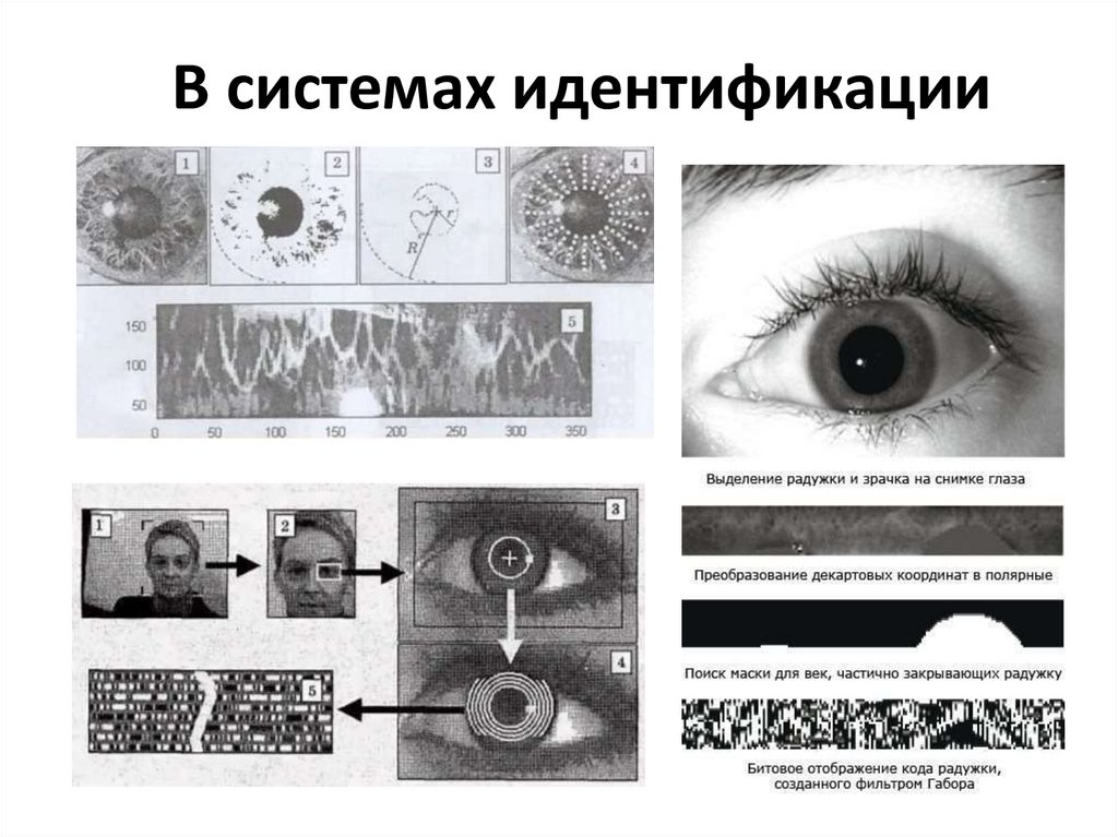В системах идентификации