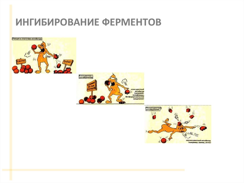 ИНГИБИРОВАНИЕ ФЕРМЕНТОВ