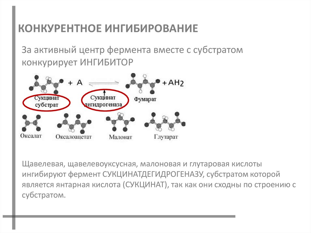 КОНКУРЕНТНОЕ ИНГИБИРОВАНИЕ