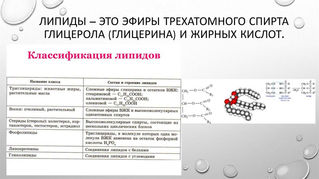 Липиды – это эфиры трехатомного спирта глицерола (глицерина) и жирных кислот.