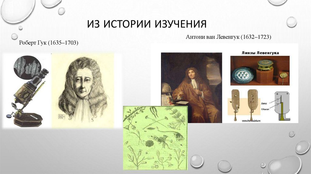 Из истории изучения