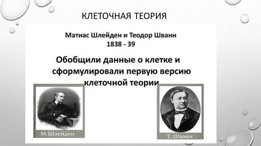 КЛЕТОЧНАЯ ТЕОРИЯ