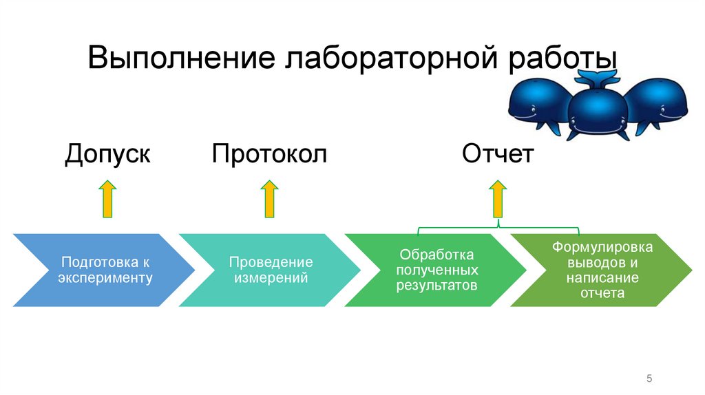 Выполнение лабораторной работы