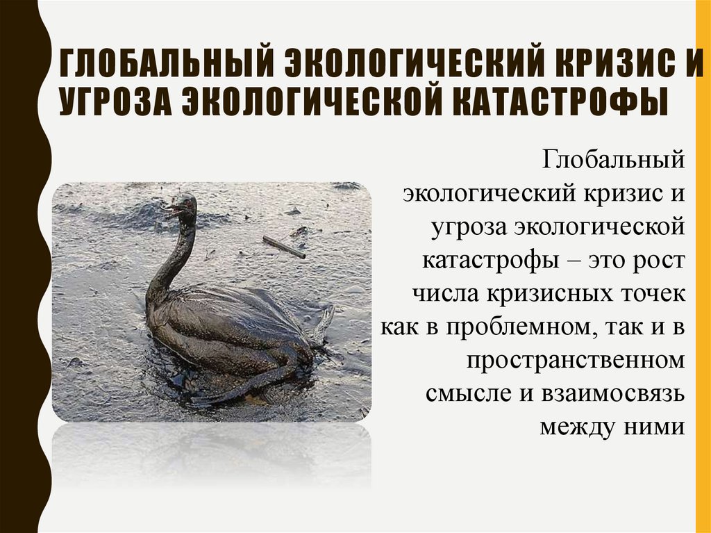 Глобальный экологический кризис и угроза экологической катастрофы