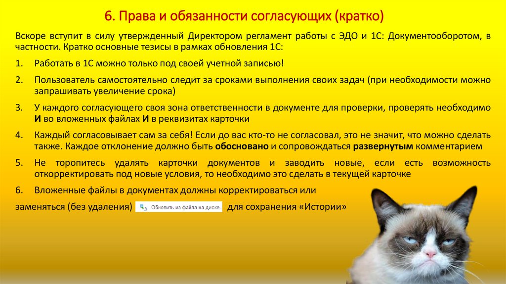 6. Права и обязанности согласующих (кратко)