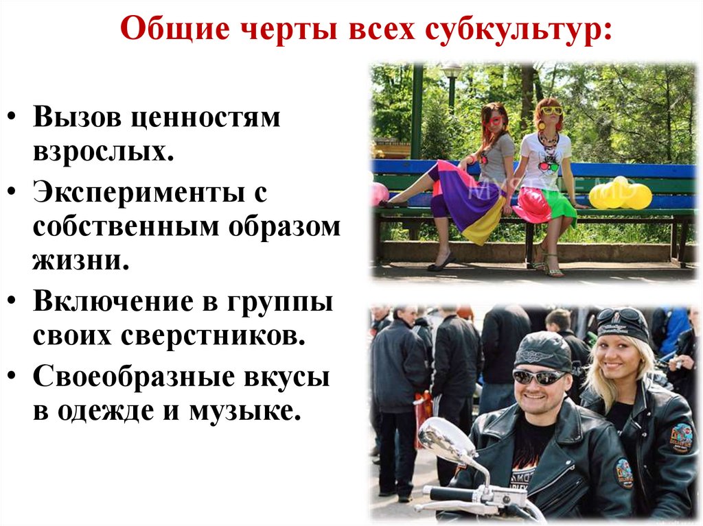 Общие черты всех субкультур: