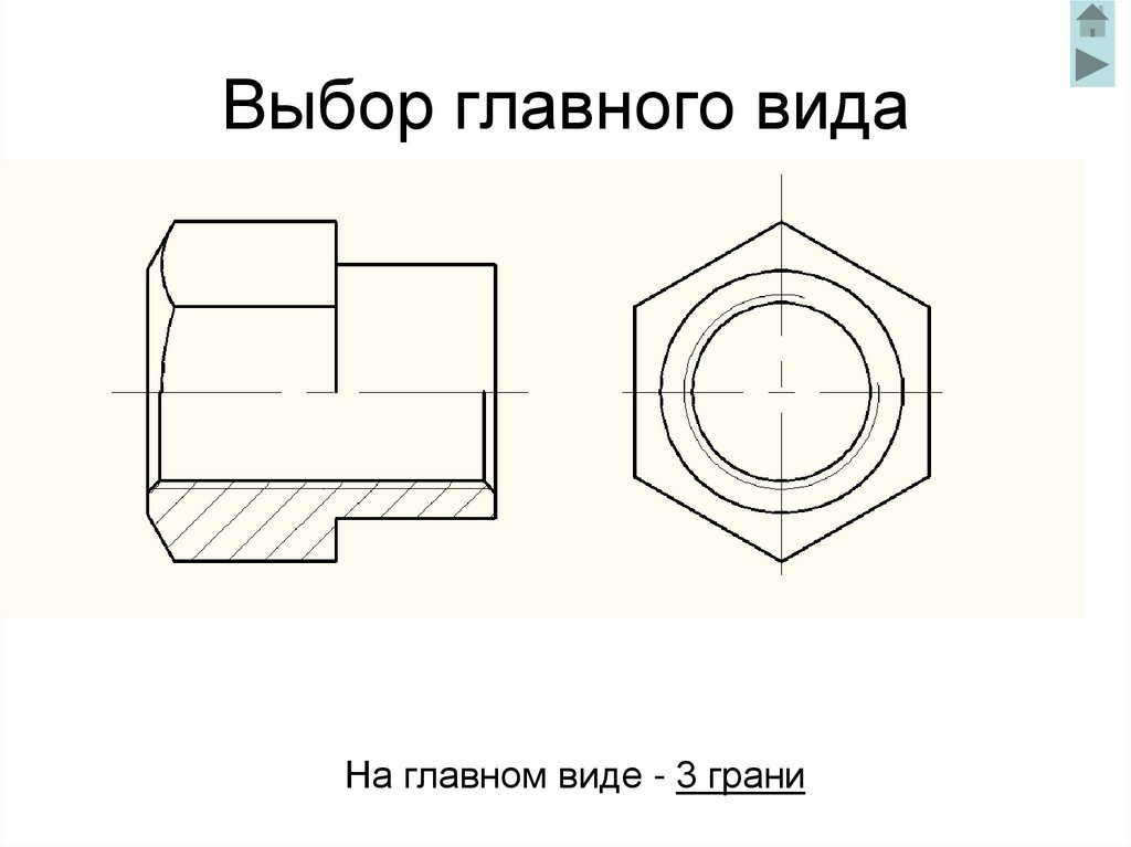 Выбор главного вида