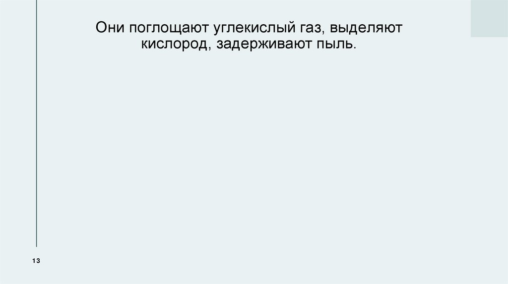 Они поглощают углекислый газ, выделяют кислород, задерживают пыль.