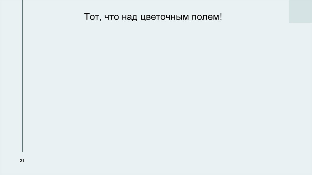 Тот, что над цветочным полем!