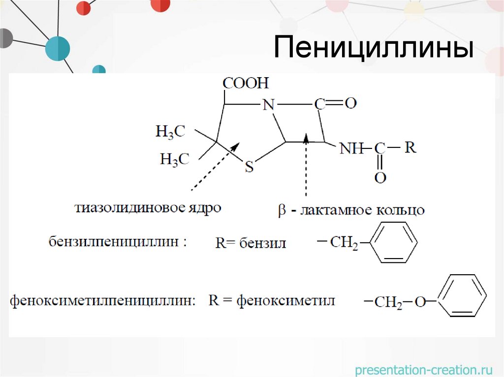 Пенициллины