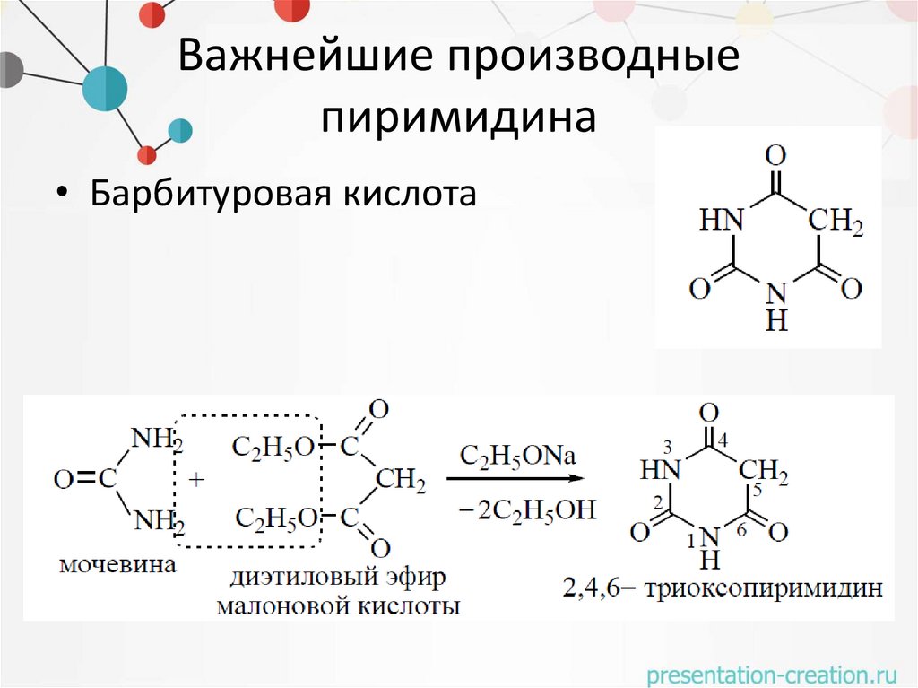 Важнейшие производные пиримидина
