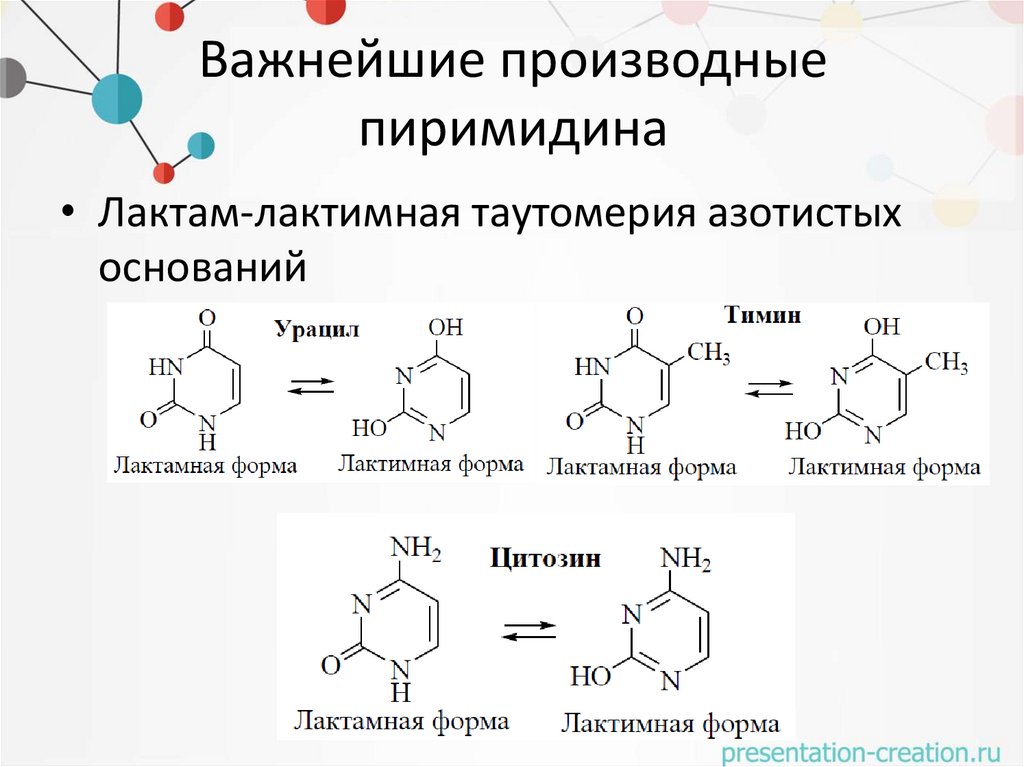 Важнейшие производные пиримидина