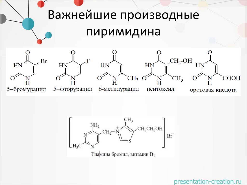 Важнейшие производные пиримидина