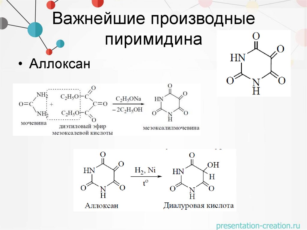 Важнейшие производные пиримидина