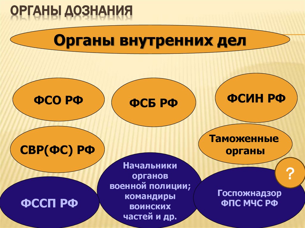 Органы дознания