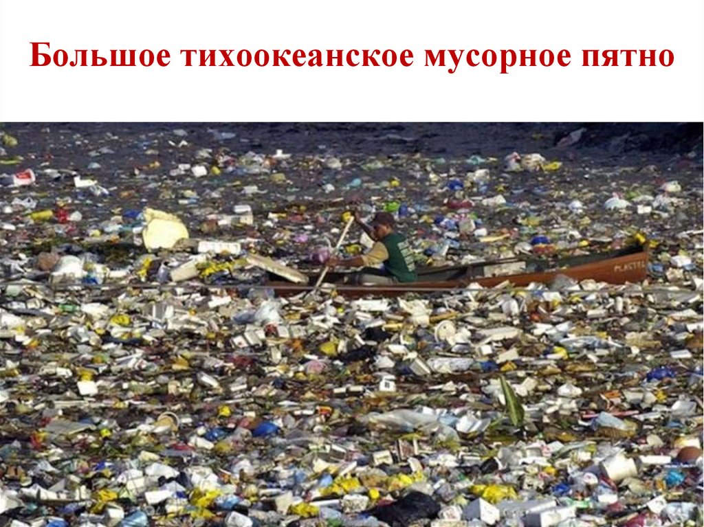 Большое тихоокеанское мусорное пятно