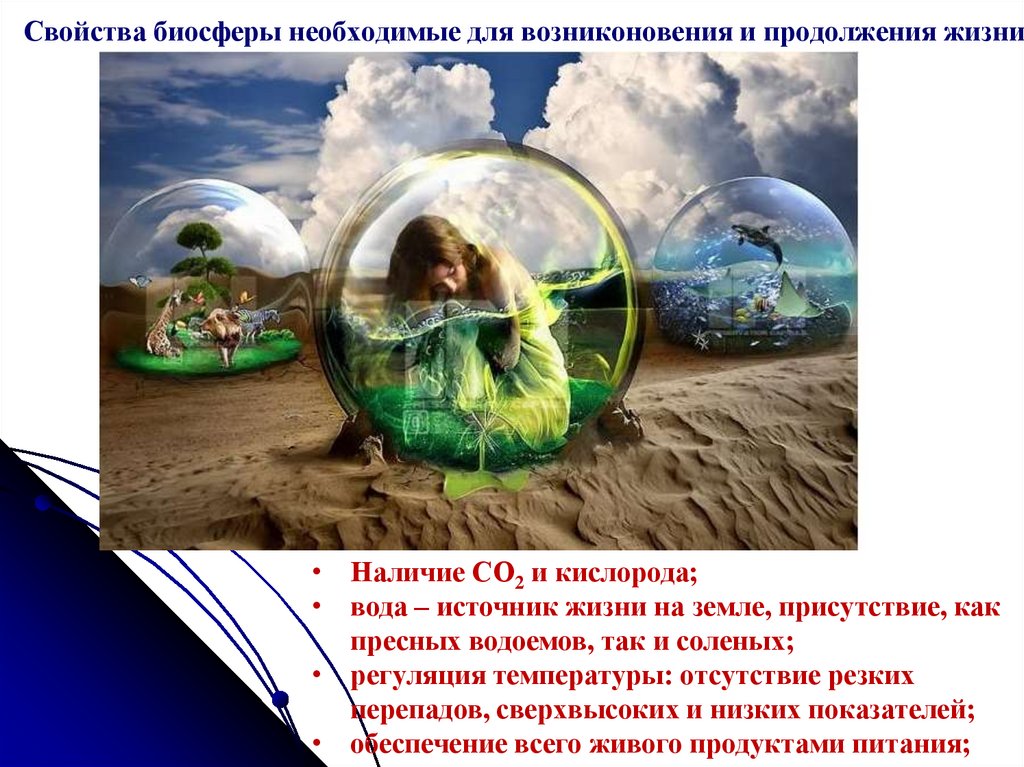 Свойства биосферы необходимые для возниконовения и продолжения жизни