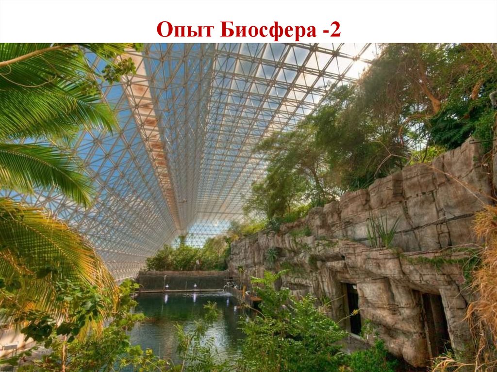 Опыт Биосфера -2