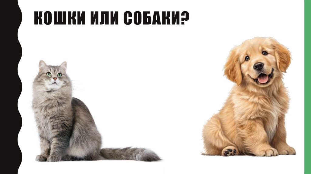 Кошки или собаки?