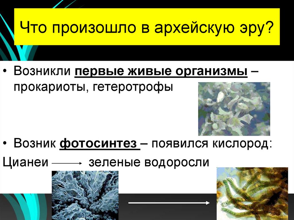 Что произошло в архейскую эру?