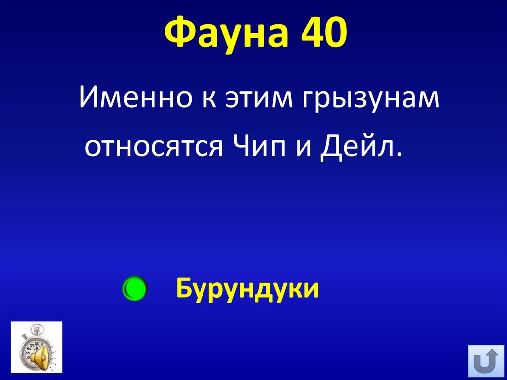 Фауна 40