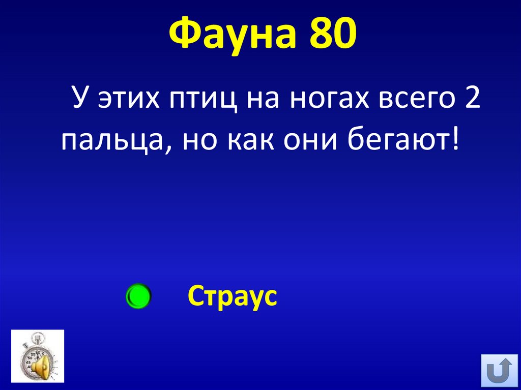 Фауна 80