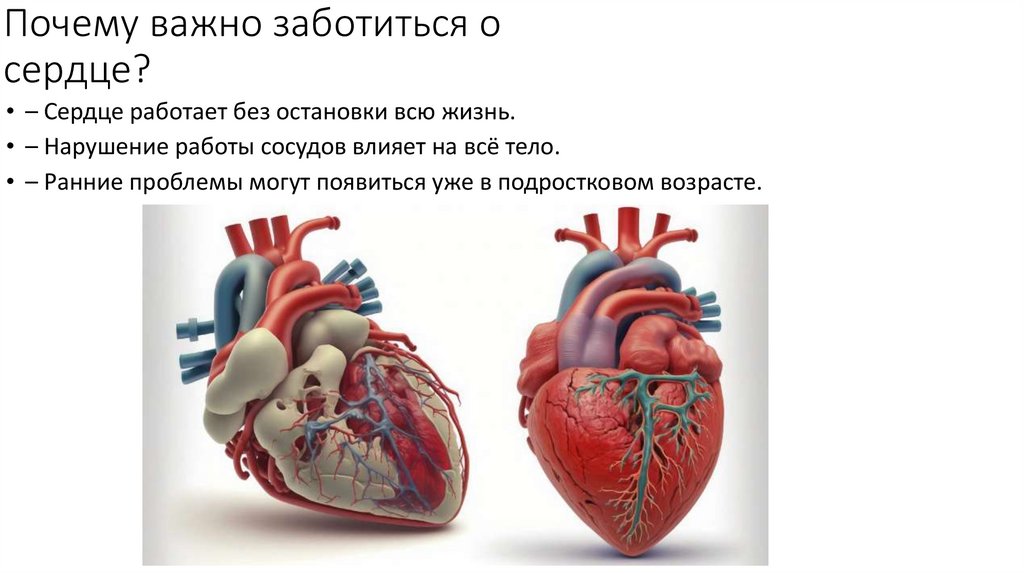 Почему важно заботиться о сердце?