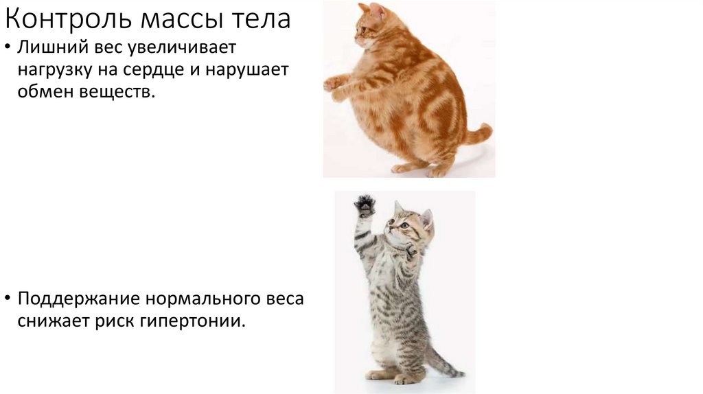 Контроль массы тела