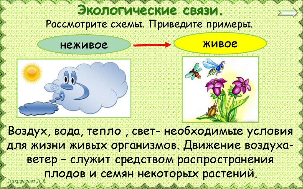 Экологические связи.