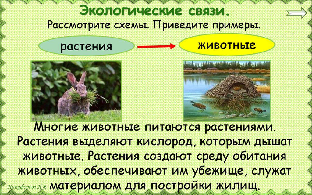 Экологические связи.