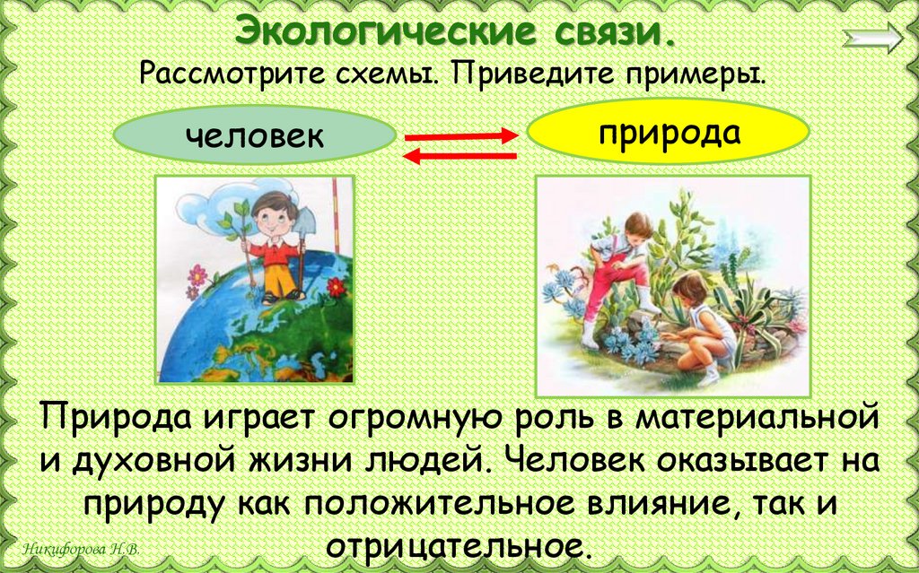 Экологические связи.