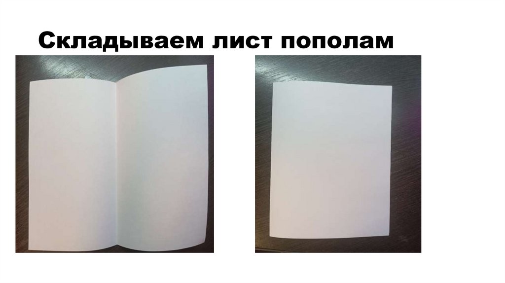 Складываем лист пополам