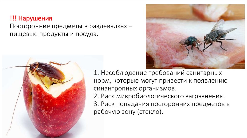 !!! Нарушения Посторонние предметы в раздевалках – пищевые продукты и посуда. 1. Несоблюдение требований санитарных норм,