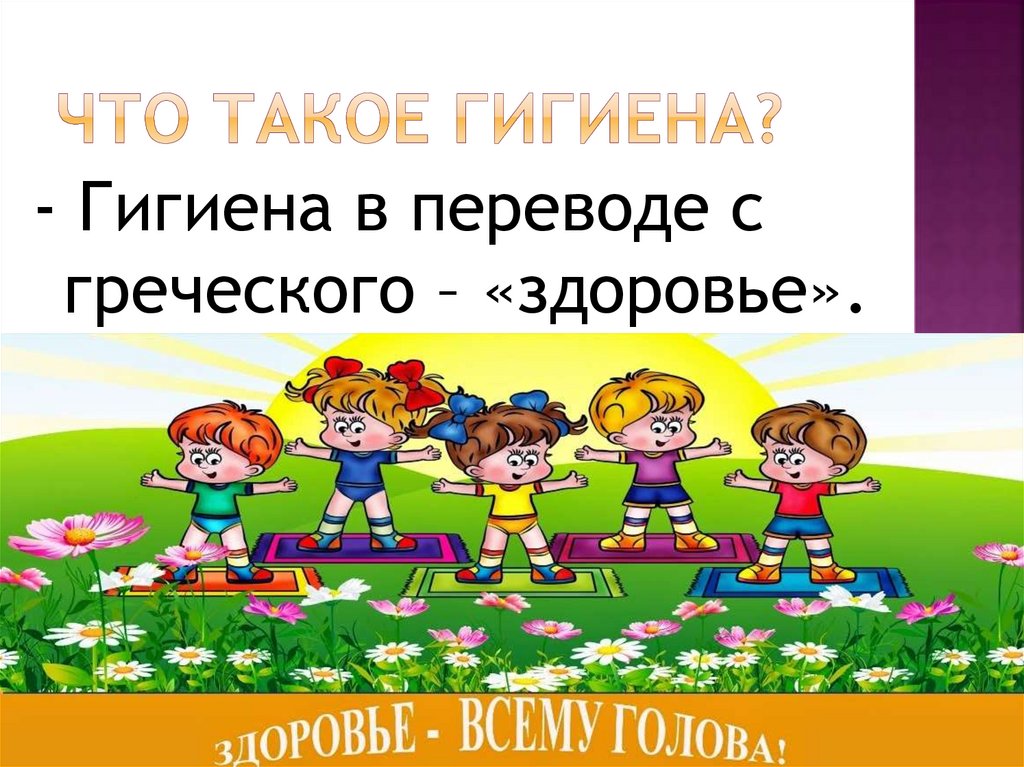Что такое гигиена?