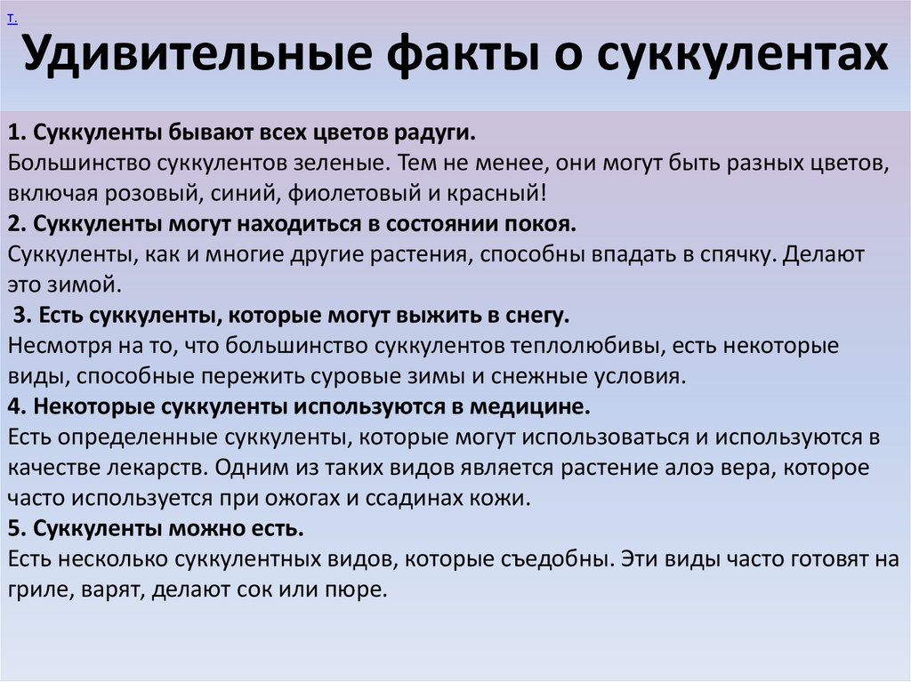 Удивительные факты о суккулентах