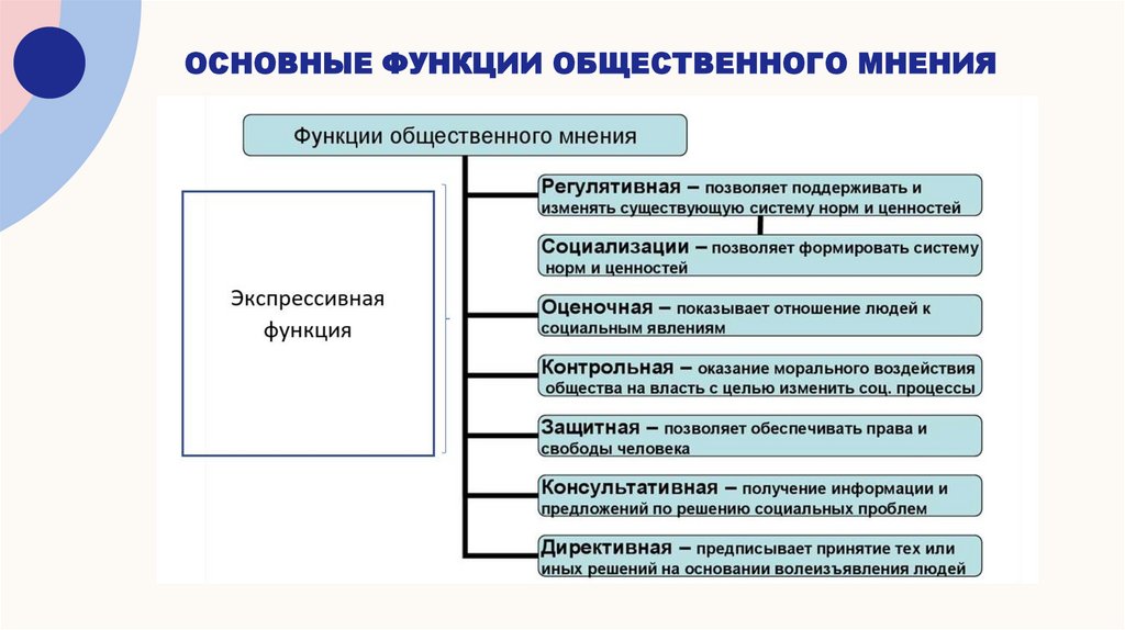 Основные функции общественного мнения
